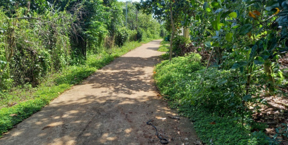 bán đất một sào thành phố long khánh