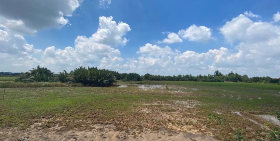 Bán đất Phước Khánh - Nhơn Trạch 700 ngàn/m2