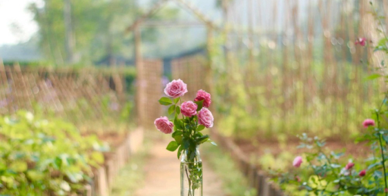 Đất Nhơn Trạch, 860tr/1000m, đường ô tô tới đất Phước Khánh