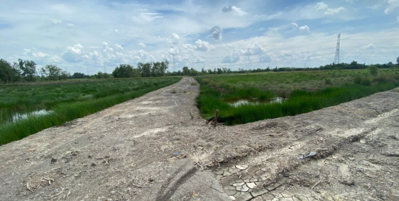 1000m2 đường ô tô, chỉ 850 triệu, sát vòng xoay cao tốc và đường Cát Lái