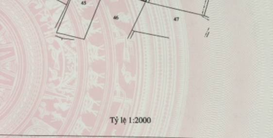 Chính chủ cần bán 3000 m2 đất nông nghiệp