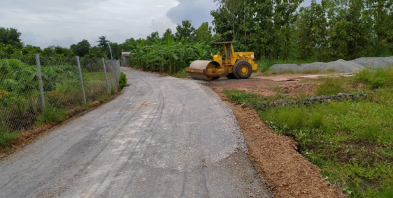 Bán gấp 1502m2+200 gốc chanh giá 980tr SHR ở Vĩnh Tân-Vĩnh Cửu