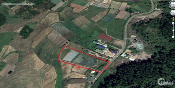 Cho thuê lâu dài gần 1 Hecta đất nông nghiệp gần Đà Lạt Lâm Đồng