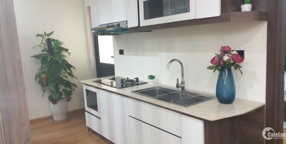 Chung cư đẳng 3 sao, tiện ích phong phú, thiết kế hiện đại, tối ưu công năng