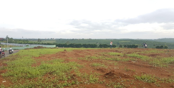 Cần bán đất nền dự án Dambri Bảo Lộc Lâm Đồng,diện tích 200-350m2, giá 700tr.