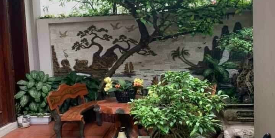 Bán biệt thự mini Khu 8 phường Tân Bình, Hải Dương, 123m2, 2.5 tầng, 3 tỷ 750 tr