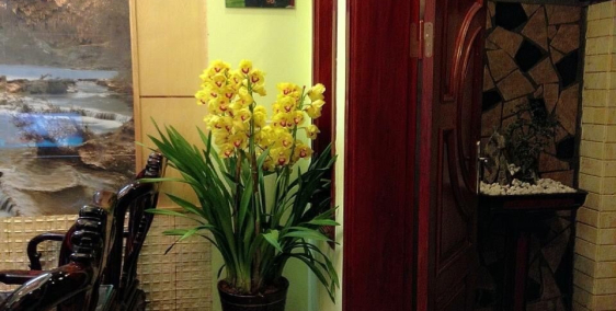 Bán nhà Trần Cung 60mx3 tầng,mt 5.3m,otô,giá 4.95 tỷ