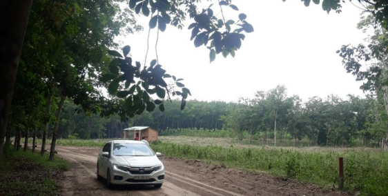 Bán gấp lô đất gần trường tiểu học sát ĐH704 - Dầu Tiếng Bình Dương