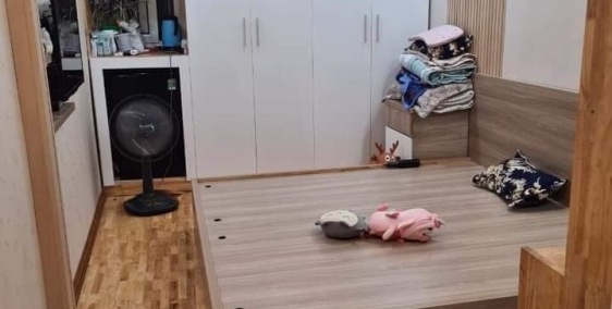 Nhà đẹp Trần Cung 30m chỉ 2.25 tỷ, cách oto tránh chỉ 50m dọn đến ở ngay