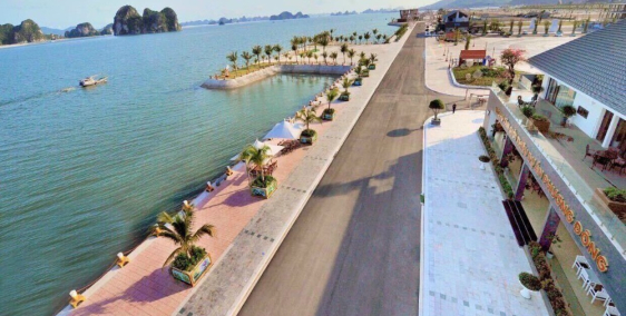 Xe Cộ Miễn Phí Đón Đưa Tận Nơi + Ăn Trưa - Đầu Tư Phương Đông Vân Đồn Sinh Lợi