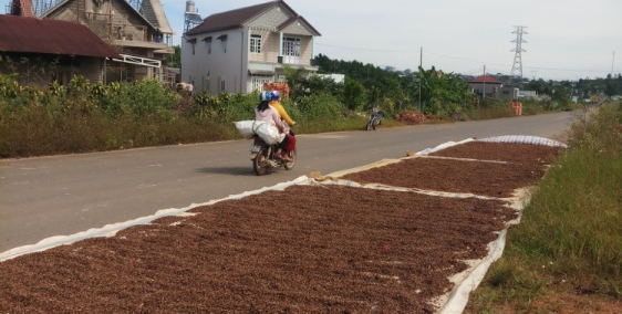 Chủ gửi Bán lô đất 200m mt  full thổ cư 879tr tp bảo lộc lâm đồng