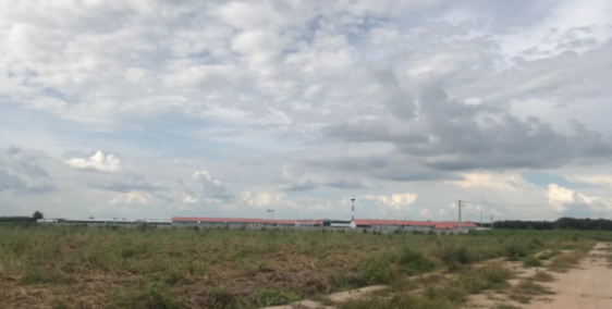 THÔNG BÁO ĐẾN QUÝ KHÁCH HÀNG  CTY chuyên PhÂn PhốI ĐẤT VƯỜN-ĐẤT ThỔ CƯ   bê