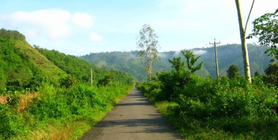 Đất thổ cư Lâm Đồng giá rẻ, sang tên ngay trong ngày.