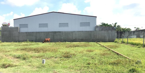 Gấp ! bán lô đất ngay sau chợ hòa khánh