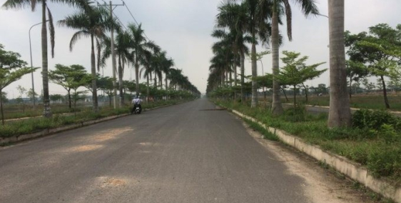 Mua Bán Đất Nền Thổ Cư ngay khu vực Đức Hòa kế bên khu Vực Củ Chu