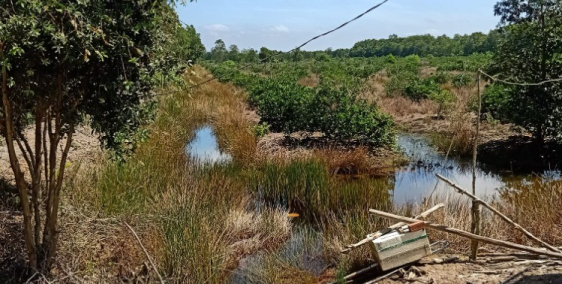 2,2 mẫu đất vườn giá rẻ vị trí tiềm năng 1,1 tỷ mẫu