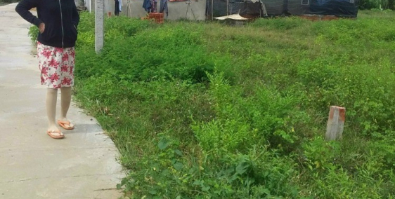 Cần tiền nhập hàng bán tết nên bán gấp lô đất giá 280 triệu/ hết đất