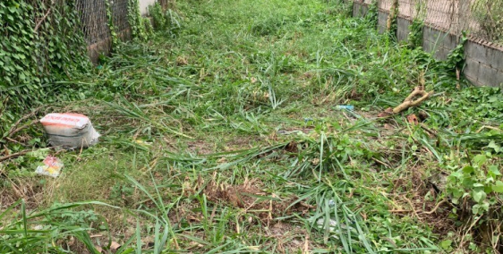 đất nhánh Đỗ Đăng Tuyển,đường 4m, full thổ cư, 4.3x37, nở hậu 4.8m, 800tr