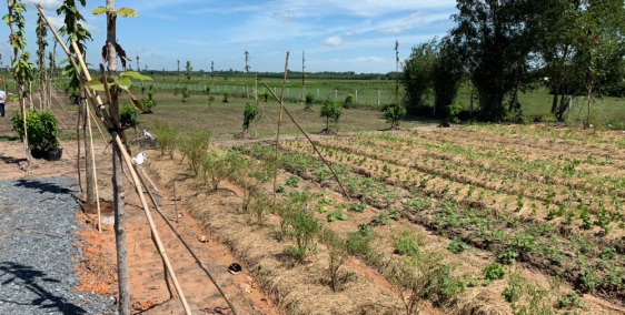 Cần bán gấp lô đất mặt tiền,DT :500m2, giá 580triệu,  xã Nhuận Đức, Củ Chi. SHR