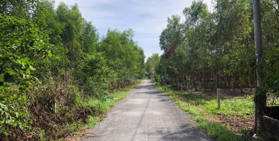 Bán đất full thổ sân bay Long Thành, SHR giá đầu tư.