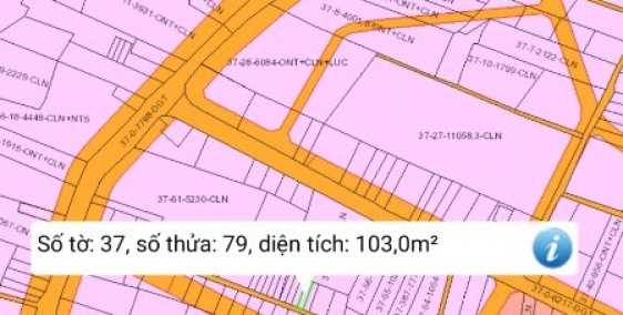 Lô Đất Xã Phú Đông Cần Bán Gấp Cách Phà Quận 2 Chỉ 8 Phút.