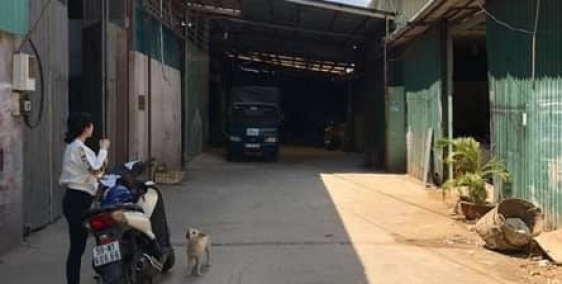 Thiếu vốn bán kho đất thổ cư 560m2, Bình Hưng Hòa B, Bình Tân.