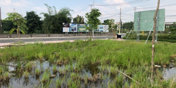 Cần bán gấp lô Góc 2 MT Nguyễn Cửu Phú, Q.Bình Tân, SHR,DT 4x16