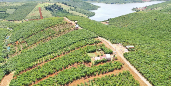 Đất Sổ Sẵn_550Triệu_Vị Trí Siêu Đẹp_View Hồ Daklong Thượng