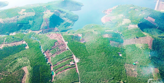 Đất chính chủ cần bán ở BẢO LÂM