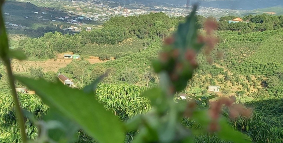 12000m2, thực tế 15000m2 view đỉnh núi  Cách trung tâm 9km