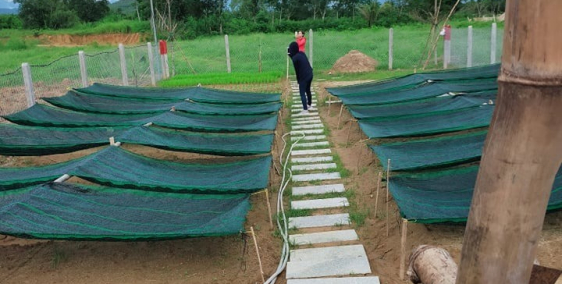 chính chủ cần ra đi lô đất đẹp giá rẻ tại Diên Đồng-Diên Khánh -Khánh Hòa