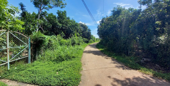 Gia đình cần Bán 1000m2 thành phố long khánh.