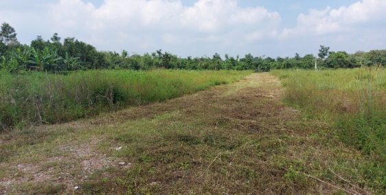 Đất vườn  Tp. Long Khánh cách trung tâm TP. 3 Km