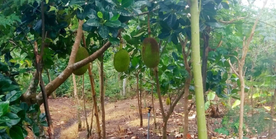 Kẹt tiền bán gấp lô đất TP Long Khánh giá 400tr