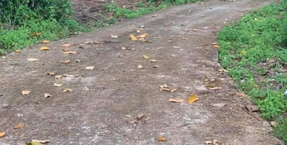 ban lô đất sào 3 mặt tiền,vuông vức,bằng phẳng tại tp long khánh