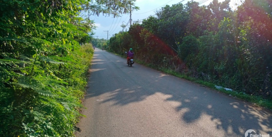 bán gấp lô đất sào dệp,vuông vức,đường xe hơi vào tới đất tại tp long khánh