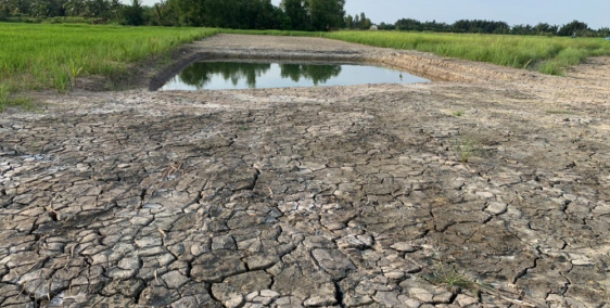 Đất vườn Phước Khánh có sẵn ao cá, xe hơi tới đât giá cực tốt của dân đia phương