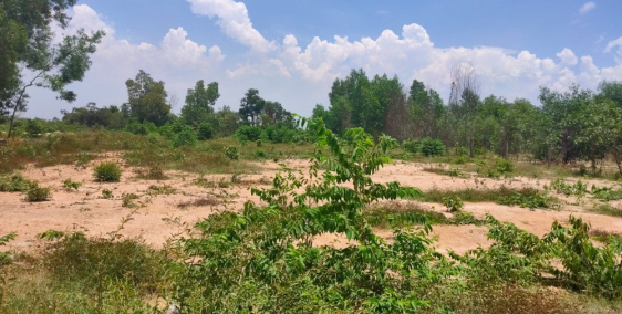 Chủ Gửi bán Lô Đẹp, Gần TT Hành Chính