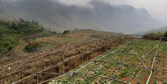 Cần bán 26.677m2 đất sinh thái xã San Sả Hồ, Sapa, giá chỉ hơn 500.000đ/m2