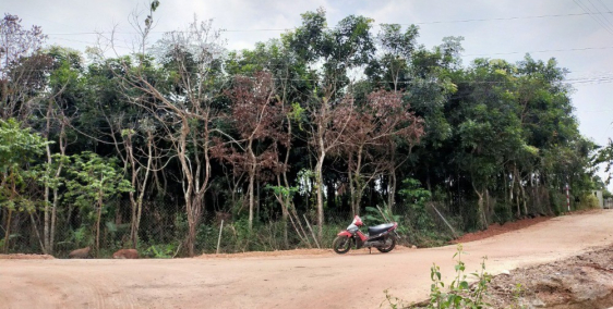 Đất Vườn Tràm ngay thị trấn ,mặt tiền bê tông 5m. Dt:500m giá 650tr