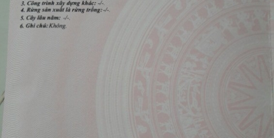 Cần tiền bán gấp thửa đất thổ cư số 3210 bản đồ 7 ấp Tân Đại, Tân Tập, Long An.