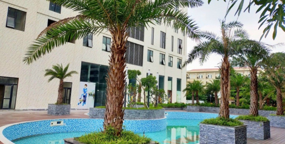 Chủ đầu tư bán chung cư đang HOT nhất Cầu gấy siêu đẹp, giá rẻ, nhận nhà ở ngay.