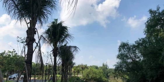 Bán căn hộ hoàn thiện view sông Q2 Thủ Thiêm Dragon, 2PN, 80m2 giá 4 tỷ bao phí.