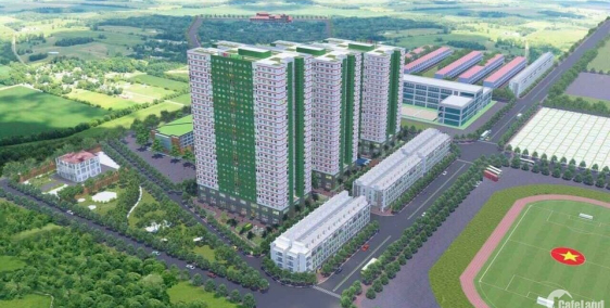 Suất ngoại giao trực tiếp CĐT dự án IEC Tứ Hiệp