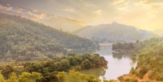 Sakana Biệt thự Nghỉ dưỡng 5 sao ven đô  Lợi nhuận tới 12%/ năm Tại Hồ Dụ - Thàn