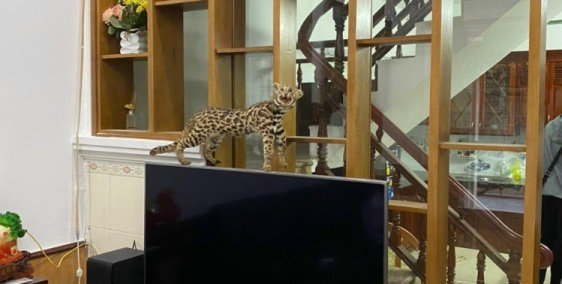 Bán nhà Nguyễn Lương Bằng, Hải Dương 54m2, mt 4m, 3 tầng, chỉ 2 tỷ 150 triệu