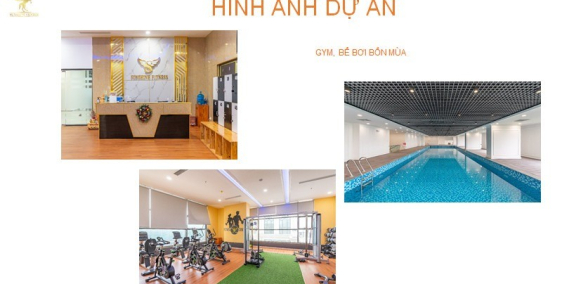 Cho thuê mặt bằng kinh doanh diện tích từ 150-500m2 tại dự án Sunshine Riverside