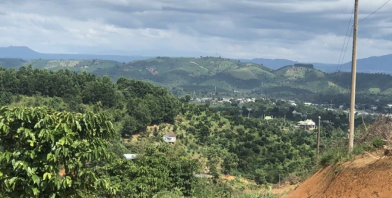 Thanh lý đất nền nghỉ  dưỡng thành phố Bảo Lộc