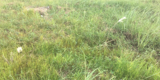 Vạn Phát Sông Hậu 690tr 80m2 thổ cư cận góc, gần công viên dự án.