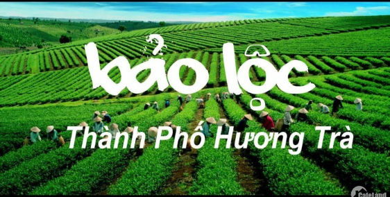 “Đại Bình villa” ngay trung tâm thành phố Bảo Lộc giá 3,5tr/m có gì?